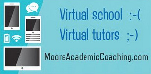 Virtual Tutoring